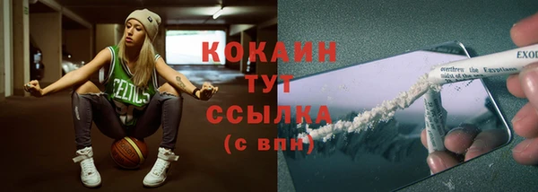 стаф Вязьма