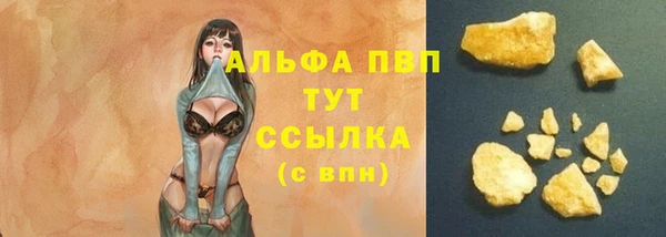гашик Вязники