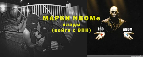 гашик Вязники