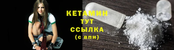 стаф Вязьма