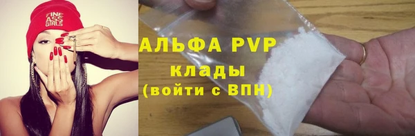 стаф Вязьма