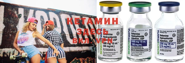 стаф Вязьма
