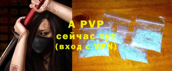 стаф Вязьма