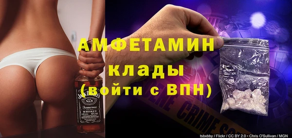 стаф Вязьма