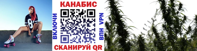 Бошки марихуана White Widow Новошахтинск